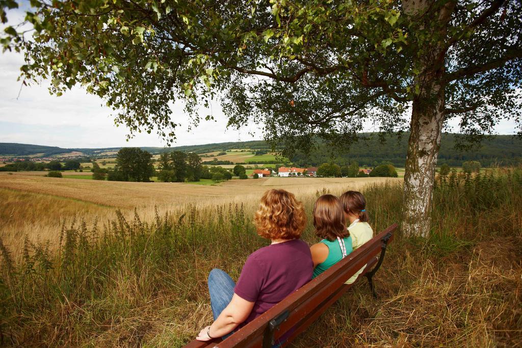 Gasthaus Zum Lindenwirt Oberweser Eksteriør billede