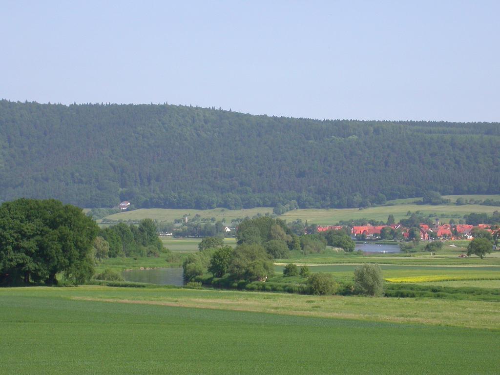 Gasthaus Zum Lindenwirt Oberweser Eksteriør billede