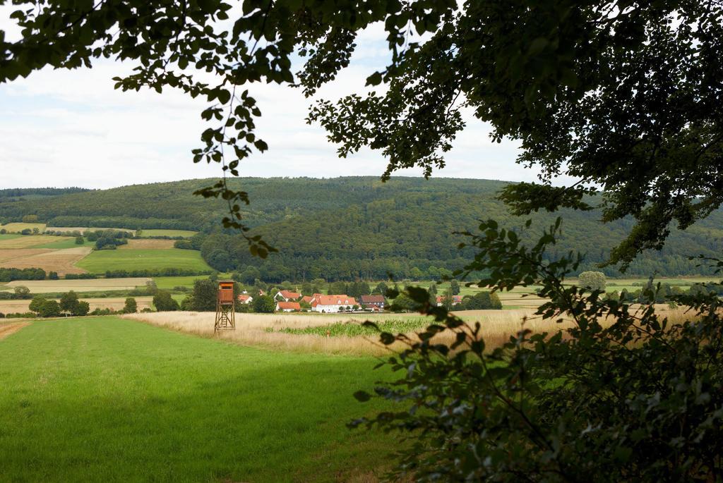 Gasthaus Zum Lindenwirt Oberweser Eksteriør billede
